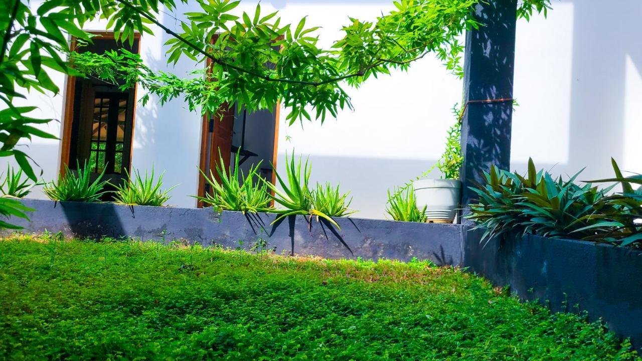 Greenville Resort And Spa Dambulla Eksteriør bilde