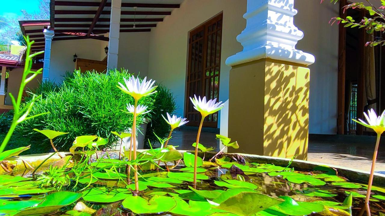 Greenville Resort And Spa Dambulla Eksteriør bilde
